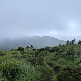 雨降ってるのでサッサと降ります🤣