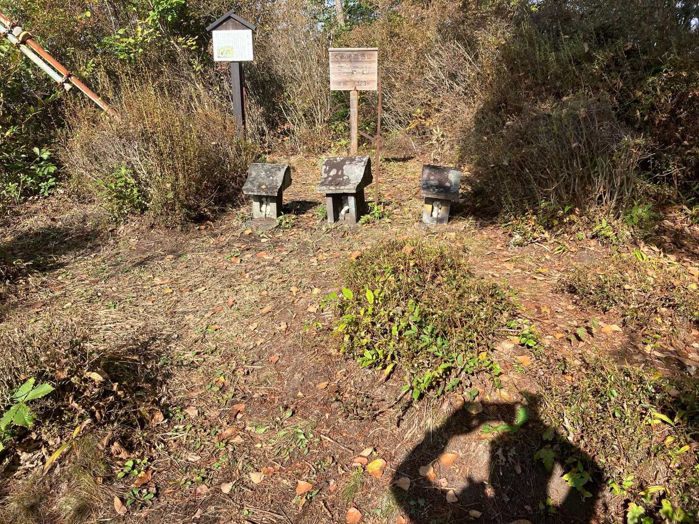 王城山山頂で影自撮り