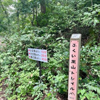 この表記時間だとけっこう早いペースじゃないと