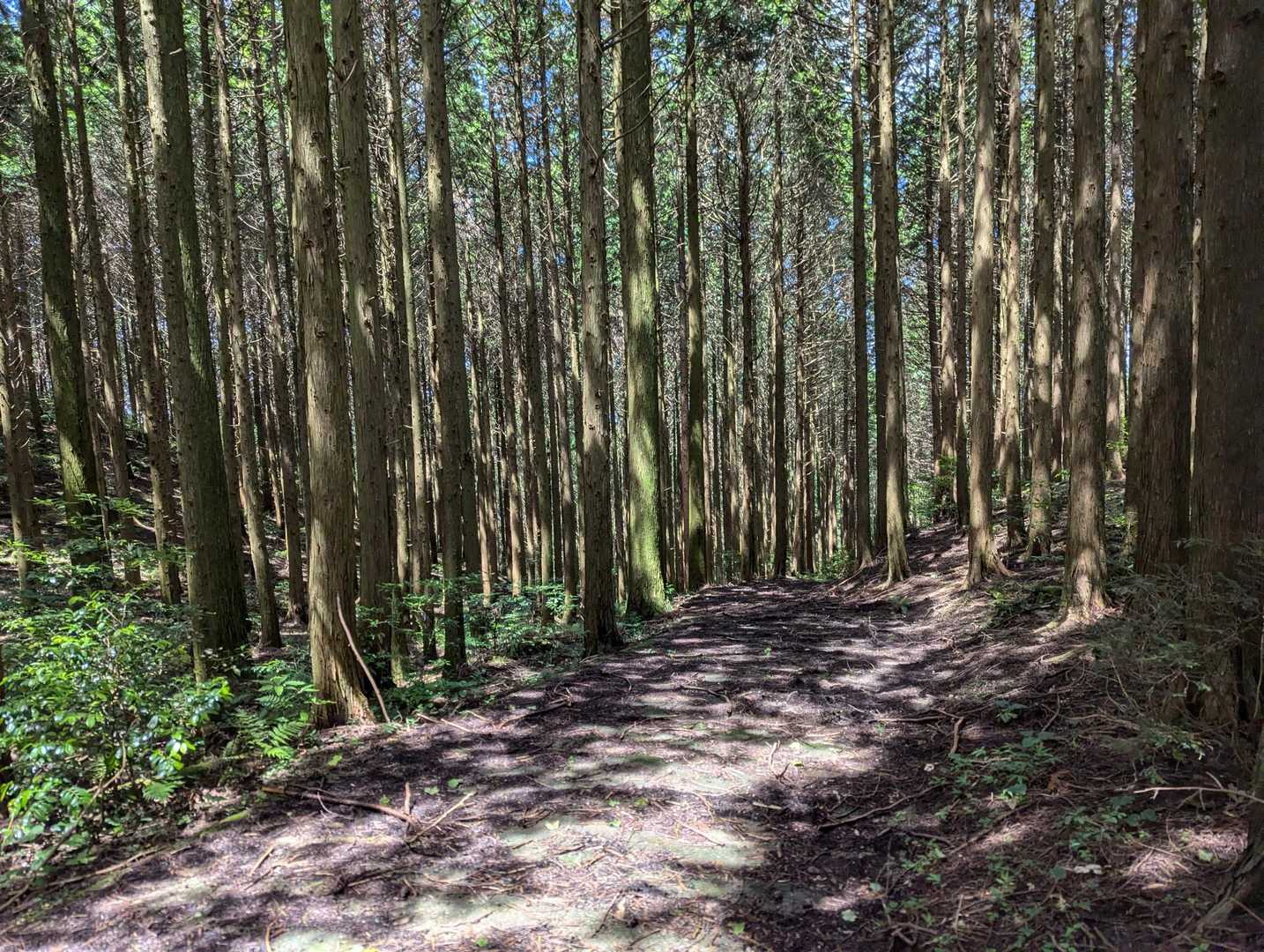 さあ下山していきますね😁