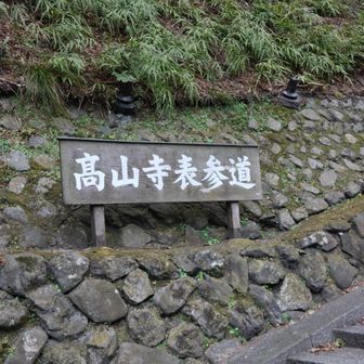 高山寺方向に進み