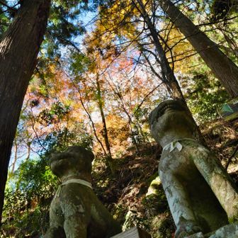 狛犬と紅葉