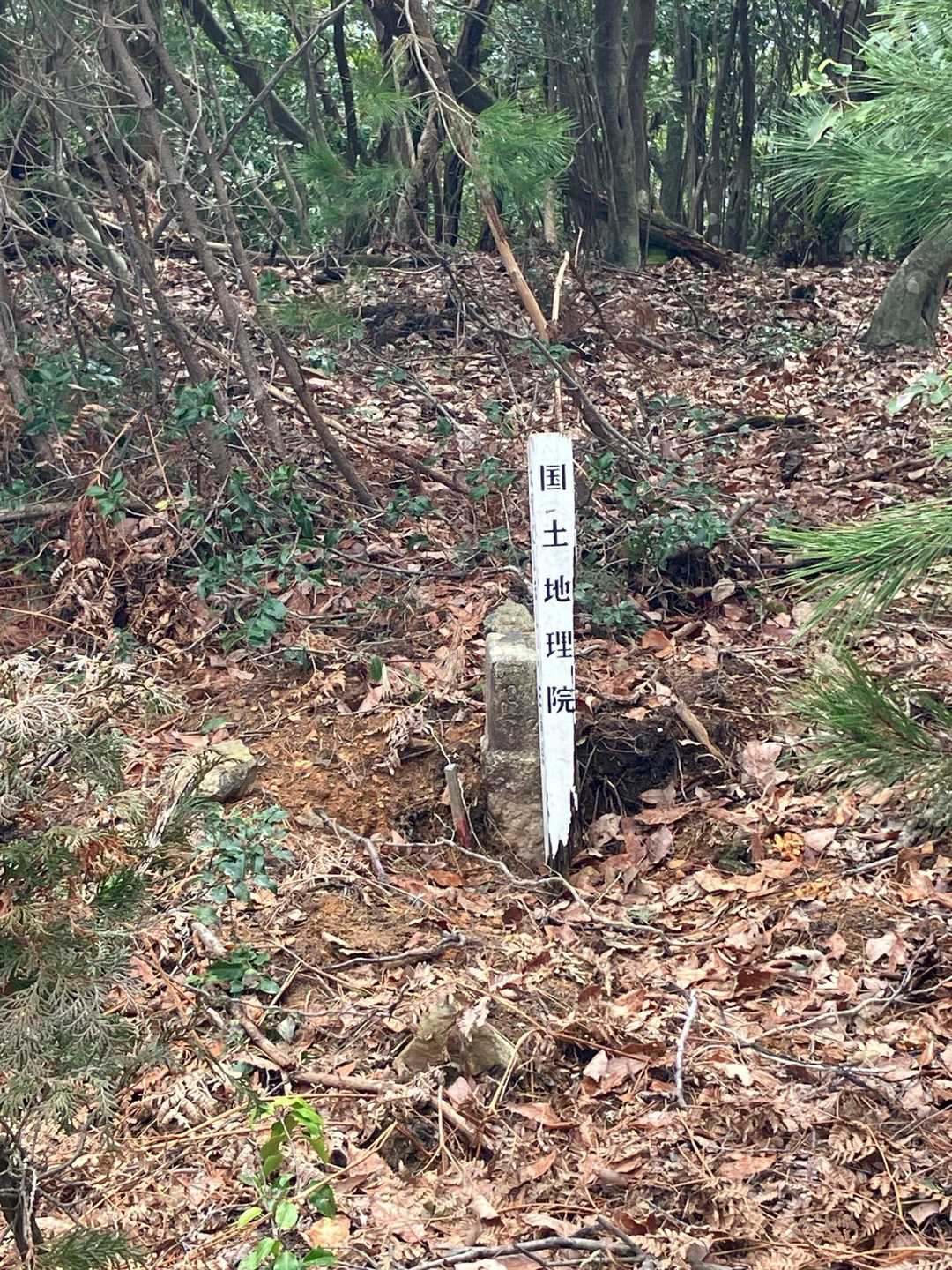 怪しい道をクリアして、三角点に無事到着。
今回は発見できました。😊
少し木々が減っているような気がしました。