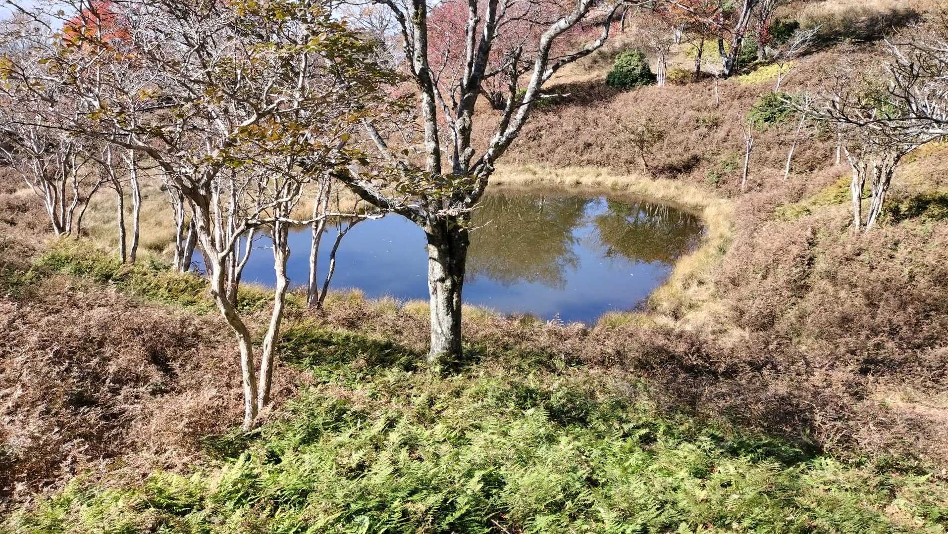 自分的にはコレ‼️