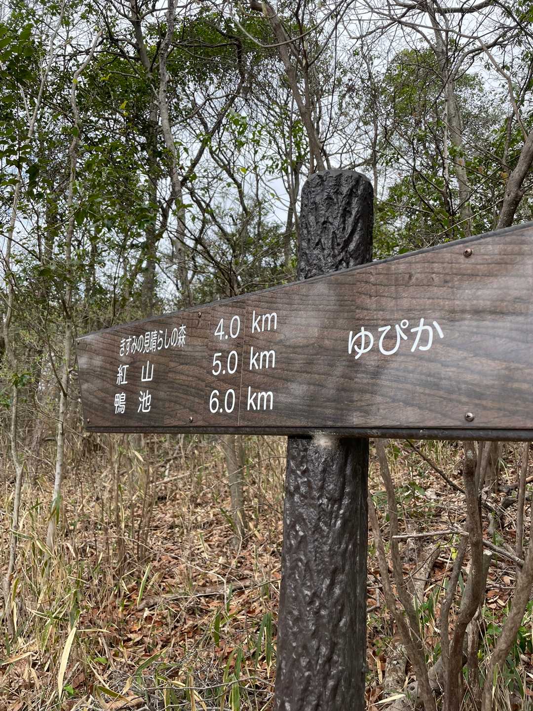白雲谷温泉ゆぴか登山口-高山-日光峠-前山 往復コースの写真