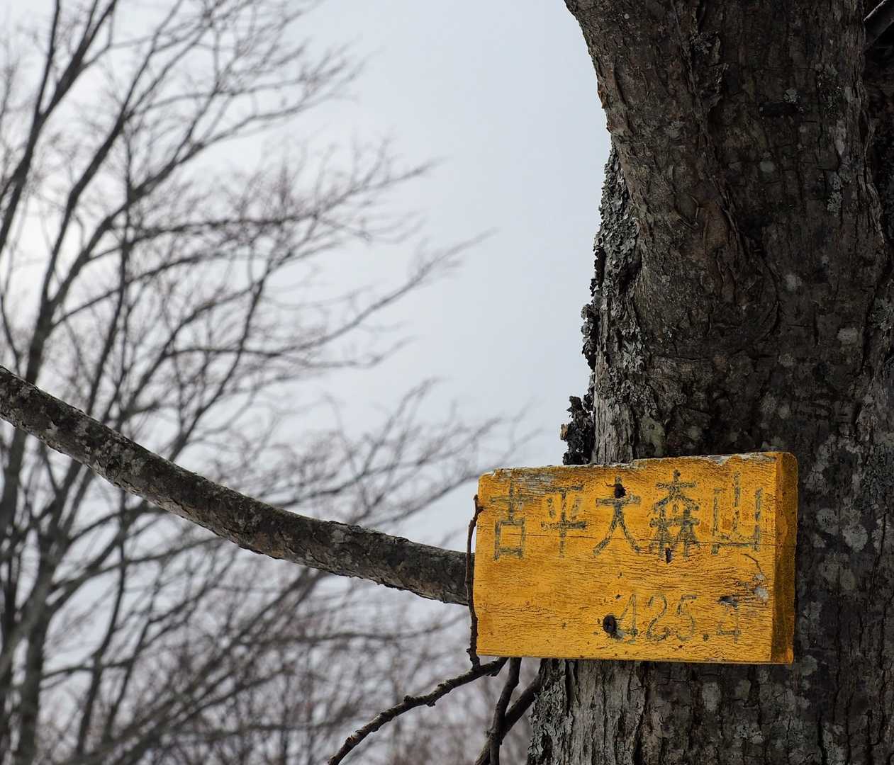 そして山頂標識
味があっていい✨