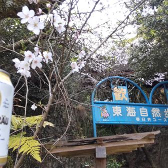 お花見しながら🍺