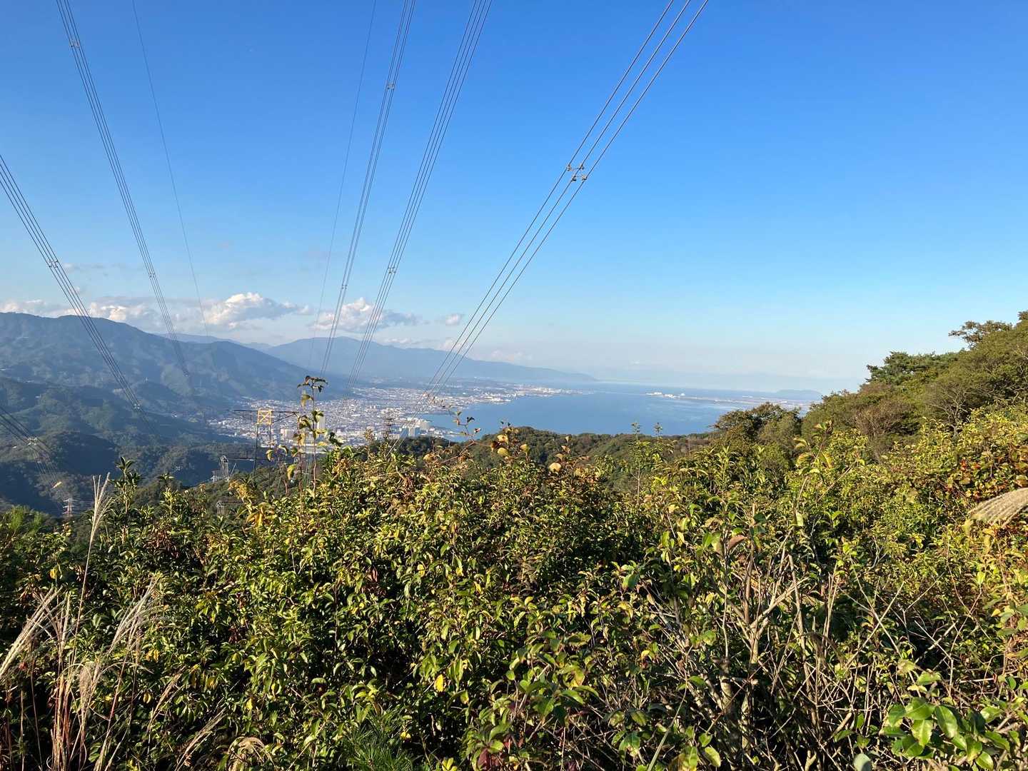 山頂までのタイムは、前回アシックスで計測した時の2秒落ちの25'52⏱
前回は3回ほどハイカーさんとすれ違いや追い越しがありましたが、今回は登山道の真ん中にいたセンチコガネさんを1回コース外に避けた以外減速要素なかったんで、上りはアシックスの勝ちっぽいですね🤔