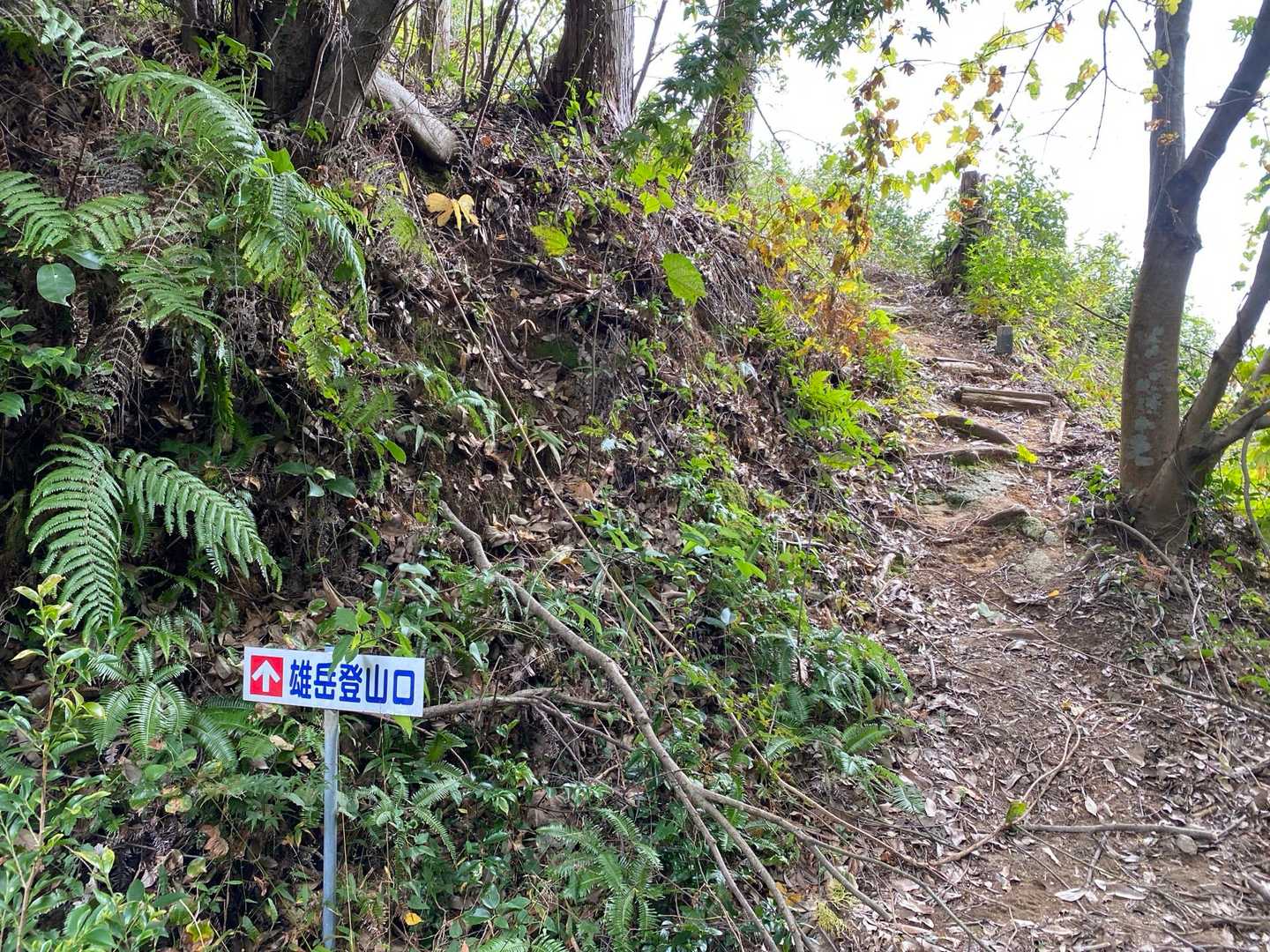 雄岳登山口。
ここから山頂まで距離は短いのですが
なかなかな急登です💦ロープあります。