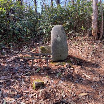 あけら山からアップダウンで自然とトレランに🏃🏻‍♀️
笑いが止まらない😂