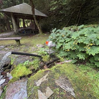 👏素敵な所です☺️ずっとここに居たい…😌

