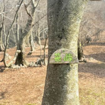                                     〝 笹峠 〟

                      笹峠を超えてしばらく進むと

                         いよいよ急登が続きます

                              まだ余裕の二人(^^; 
