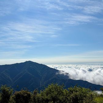 大山方面も雲海