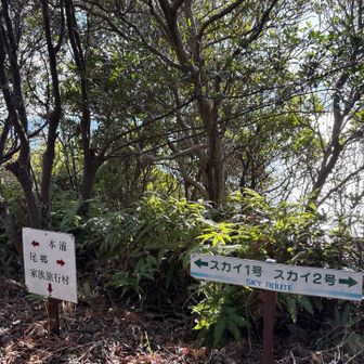 天狗岩への分岐