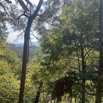 良い天気です、暑いくらい。
しかし
最初からめちゃ登ります。