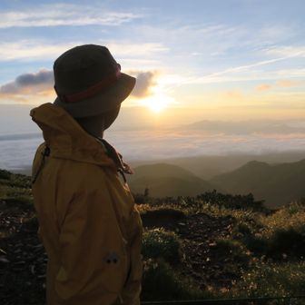 オールド・ルーキー