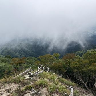 やっぱり曇天☁️