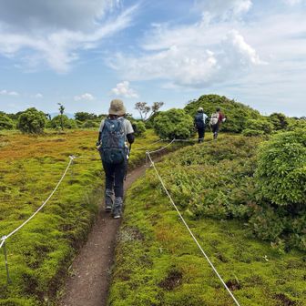 イブネ苔保護の為にロープが新しくなってました。