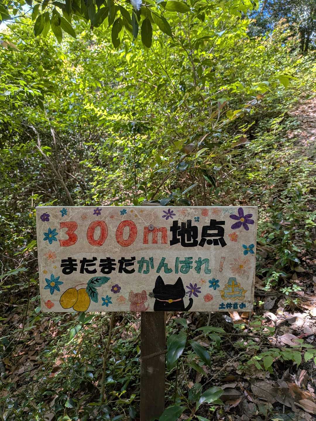 八郎岳-小八郎岳 往復コースの写真
