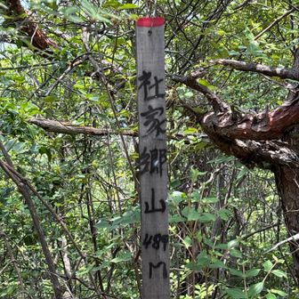 2座目到着、手書きの山頂標識の方が好きかな？