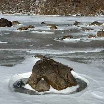 ほとんど無風の本日、湖畔はまったく風がなく、音もありませんでした😁
時間を忘れそうな静けさ😀