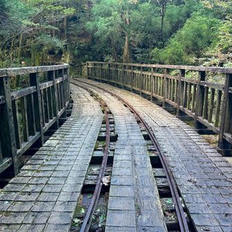 トロッコ道🚊
