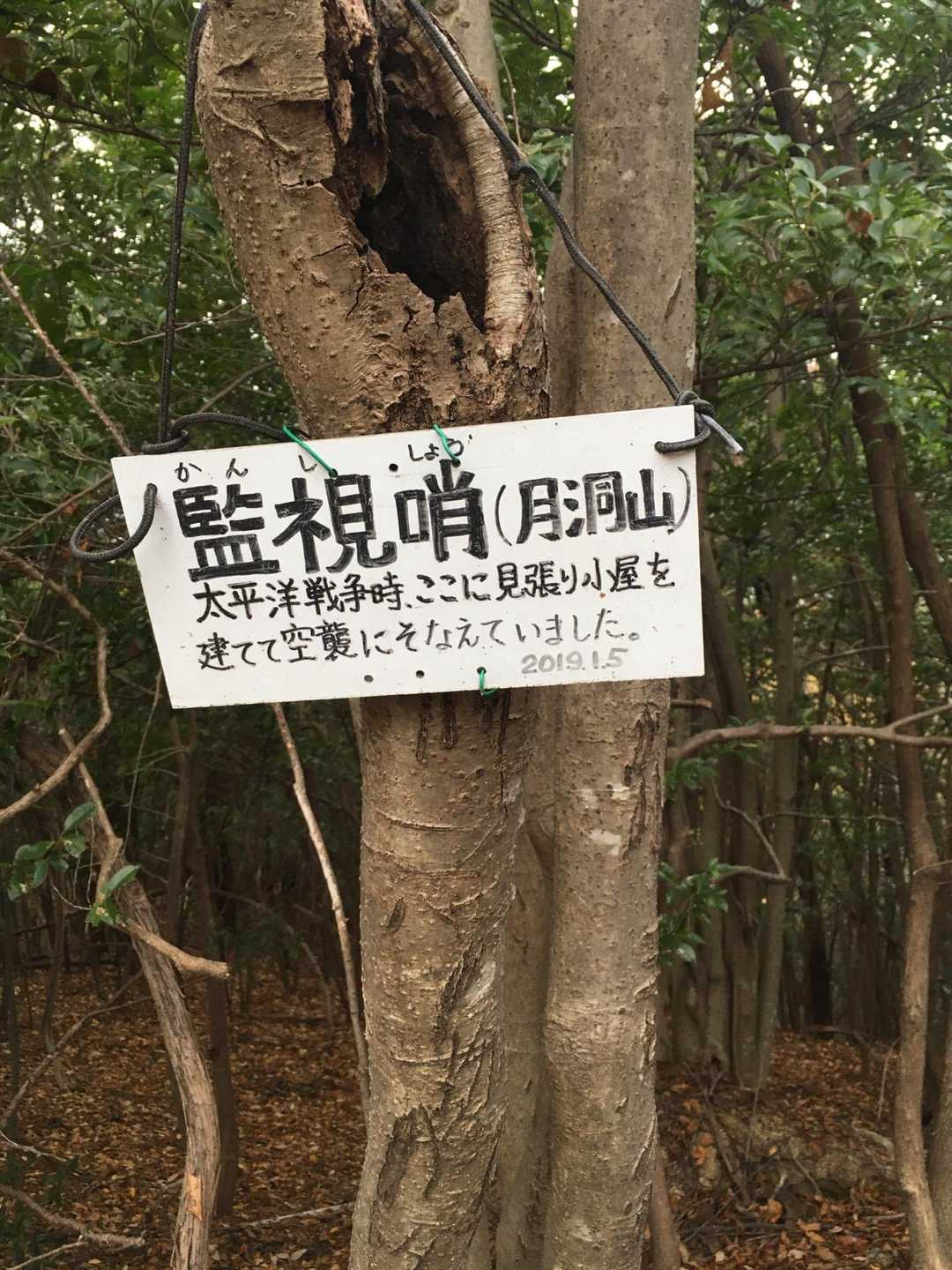 さらば月洞山、監視哨よ。👋
またいつか、ロングコースの縦走にくるよ！！