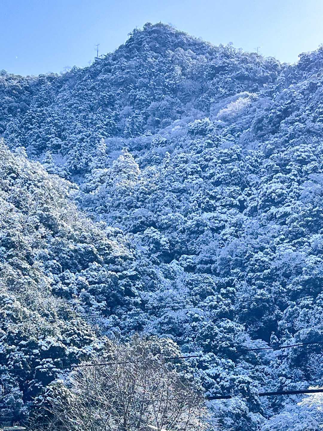 金華山 / かずさんの金華山・洞山・舟伏山の活動データ | YAMAP / ヤマップ