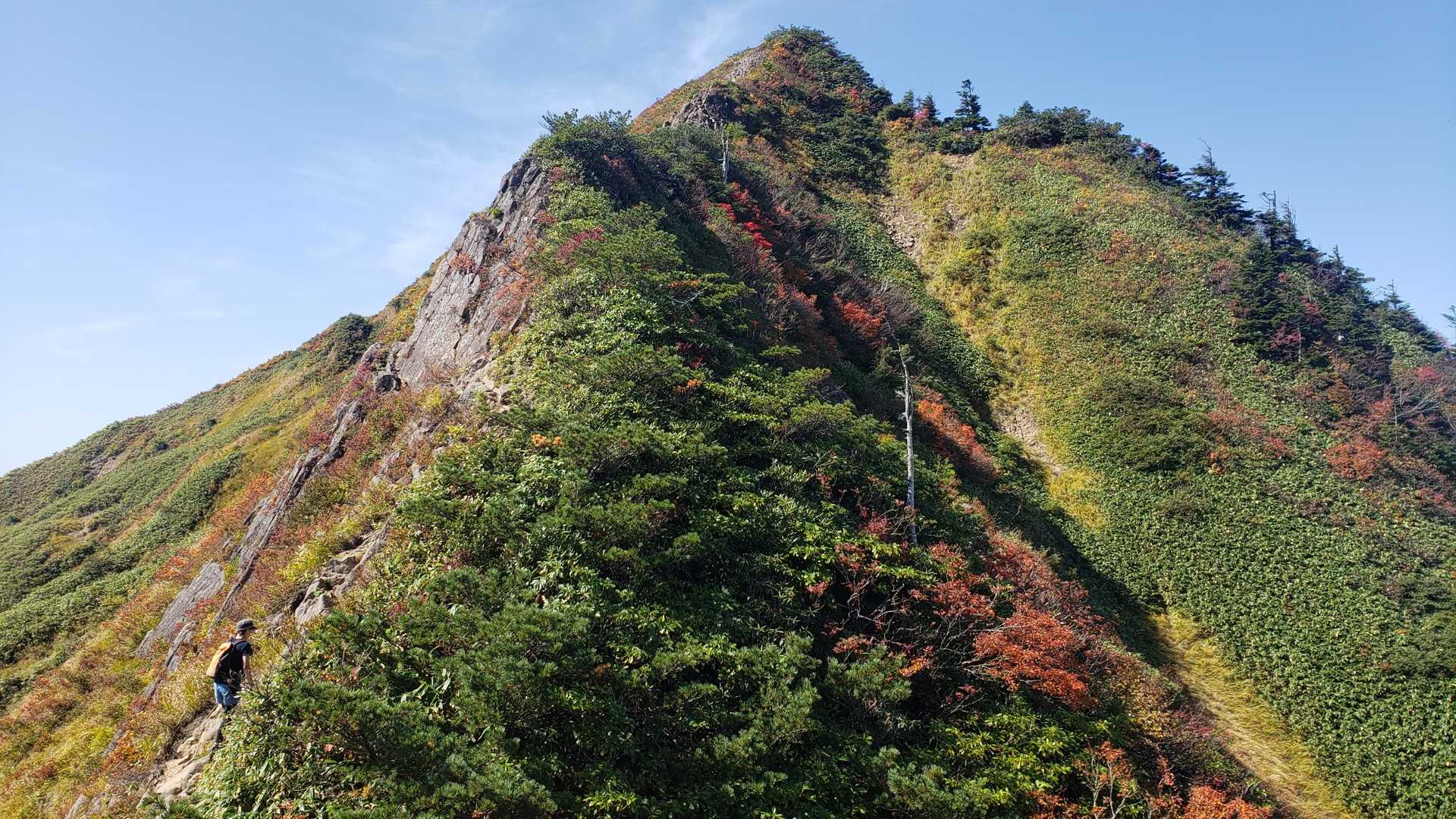 銀山平登山口-前山-前嵓下-前嵓-荒沢岳 往復コースの写真
