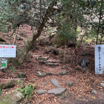 霧冷は忍び寄るもの豊前坊😨
なんか怖いじゃないですか〜😱