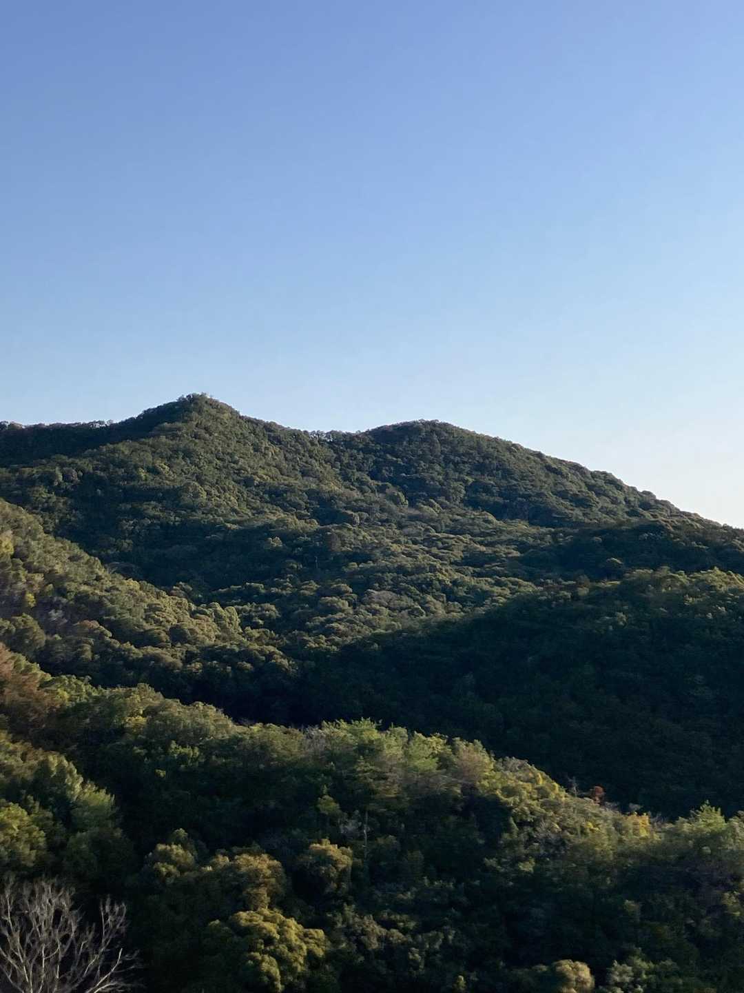 ⛰️八郎山⛰️