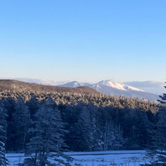 いい天気☀️
荷物を預けて白駒池へ向かいます。
今朝も➖１７°

新雪の道なき道をガイドさんが、スノーシュー？ワカン？で踏み進んだ後から、チェンパスでついて行きます。