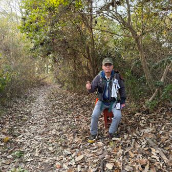 ③大北山
プレートが見当たらないが休憩場所があるから、山頂はこの辺りだろう