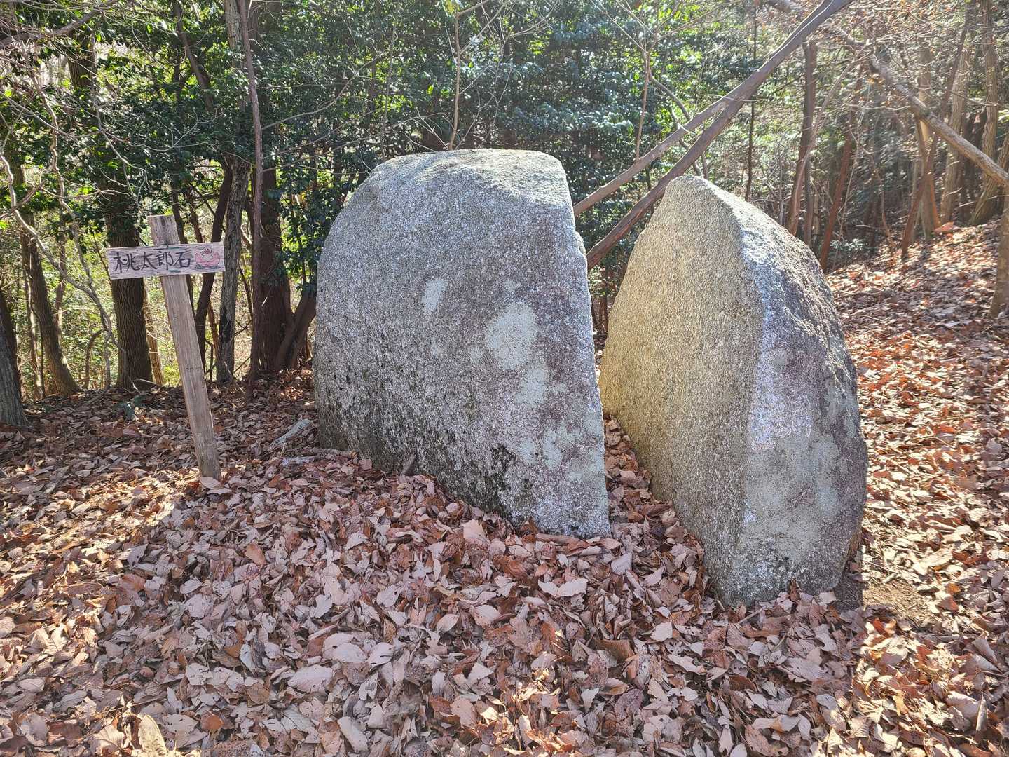 桃太郎岩🍑パッカリ割れてます🤣