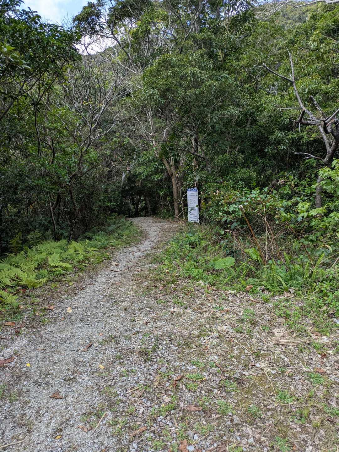 沢コース出口、もうお家に帰りたいε≡≡ﾍ( ´Д`)ﾉ