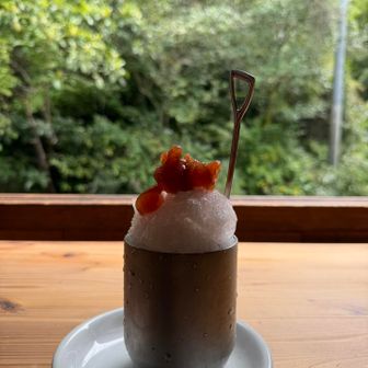 カントリーオーブンさんのかき氷🍧
オーバーヒートした体を冷やします👂