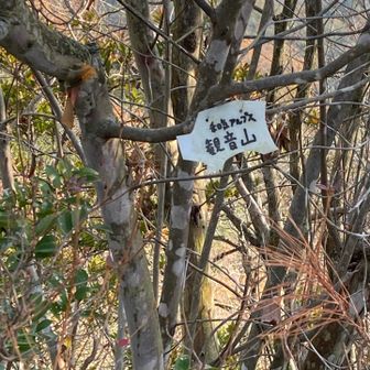 観音山標識③
この猪さん看板しか見当たらない