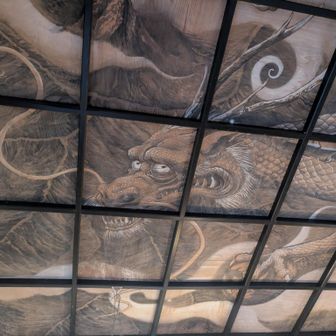 神社、仏閣に入ると天井見上げます
おぉ〜🐉