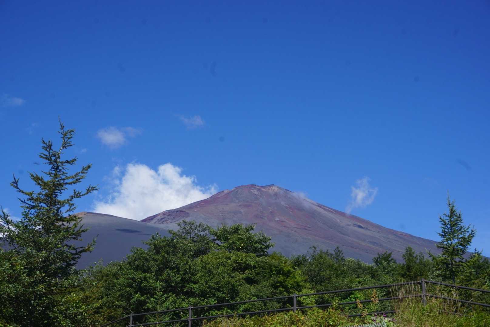 え？富士山ですか？雪が無いと☃️