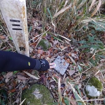 ✌三等三角点 鴨