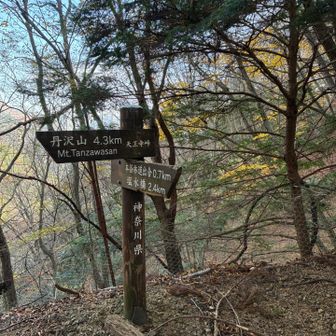 綺麗な標識が要所にしっかりあります