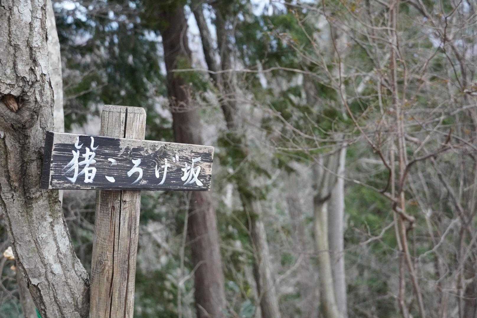 まだまだ歩くょ〜