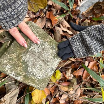 垂坂山ピーク📍
