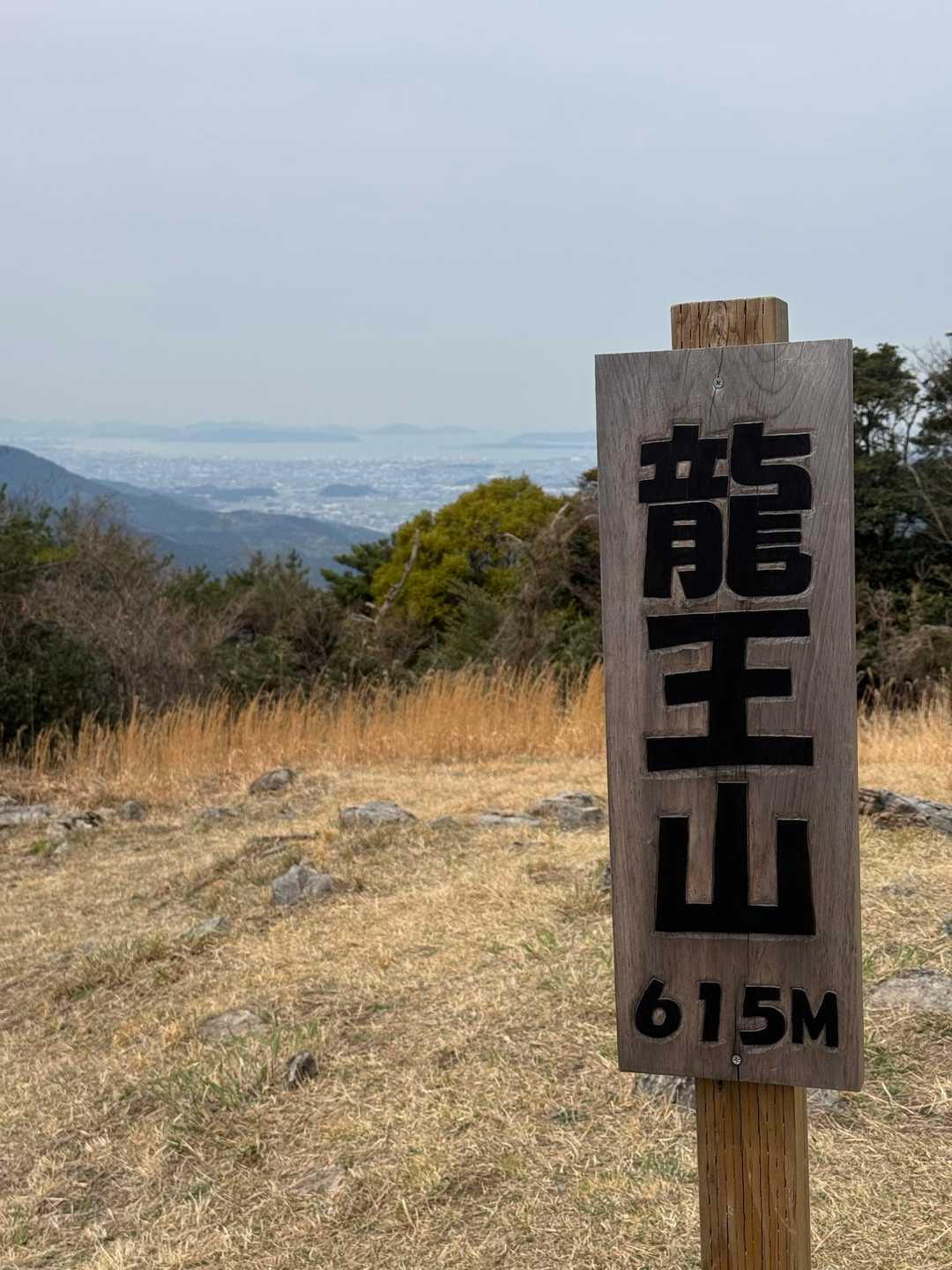 龍王山-龍王神社 往復コースの写真