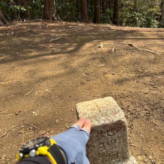 大福の次は団子山…山名板はないようだ？
三角点タッチ
