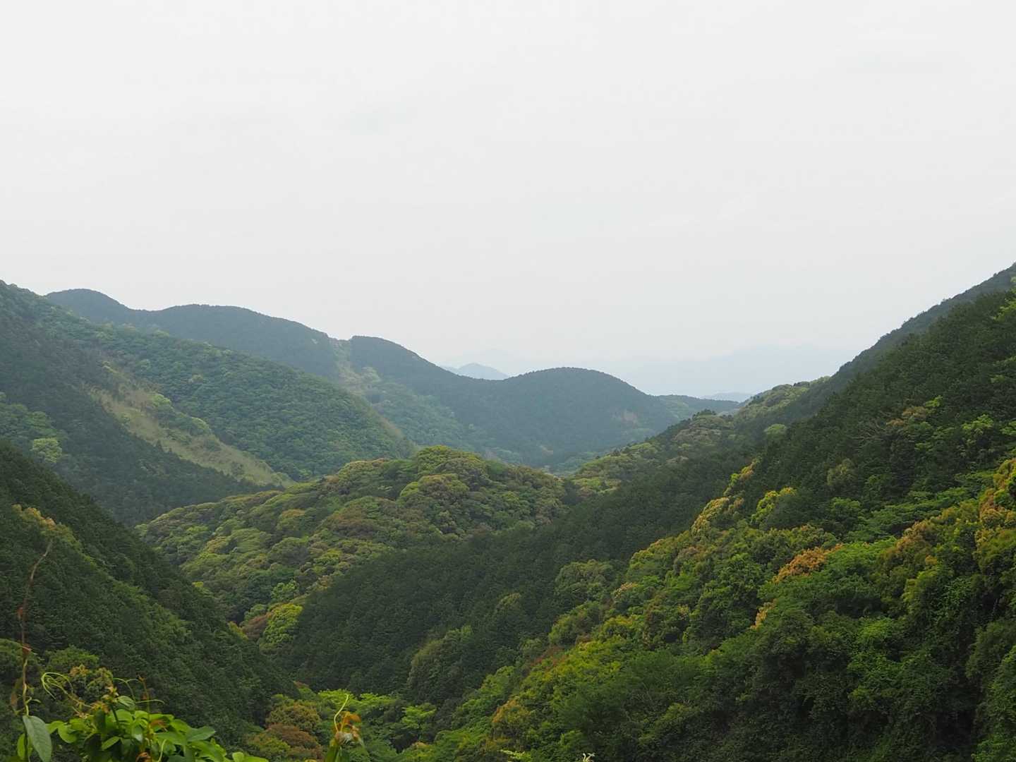 途中から