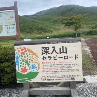 心身に良い