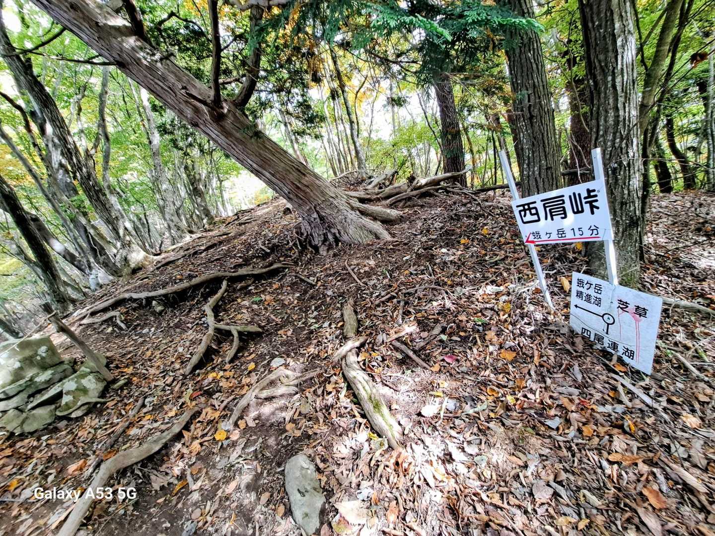 西肩峠‼️
ココから一気に急登💦