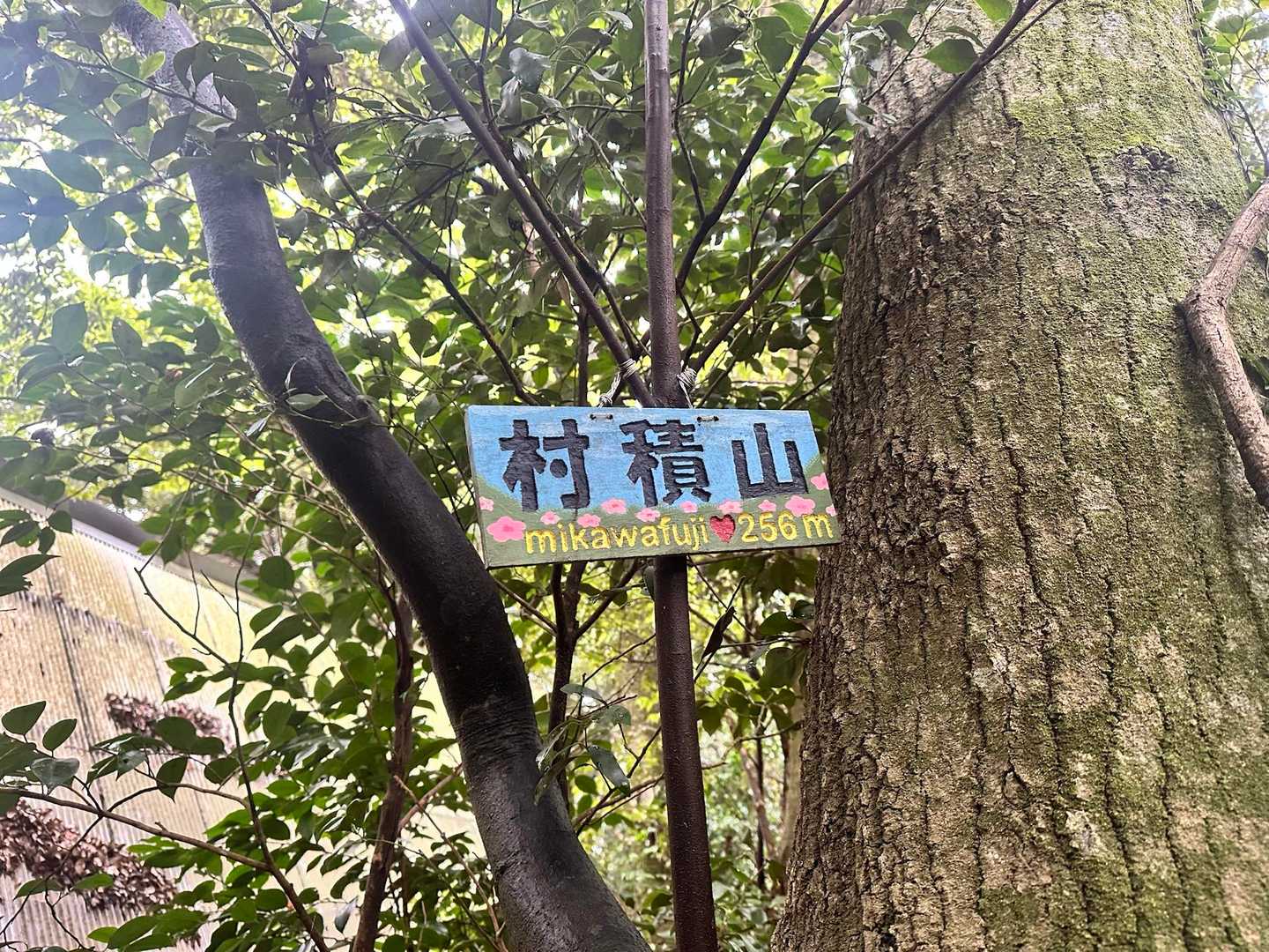 可愛いのもある♪