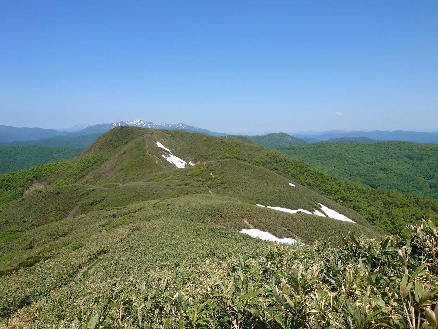 和賀山塊の後ろに秋田駒ケ岳が見えました。